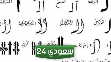 أنواع الخط العربي وأشكالها بالشرح