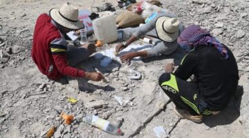 اكتشاف علمي عظام زاحف بحري من نوع جديد بصحراء واحات الوادي الجديد