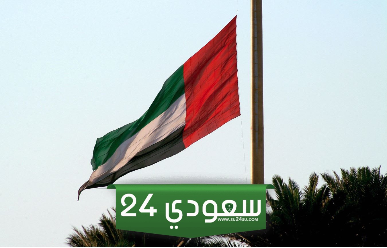 التخصصات المطلوبة في الإمارات