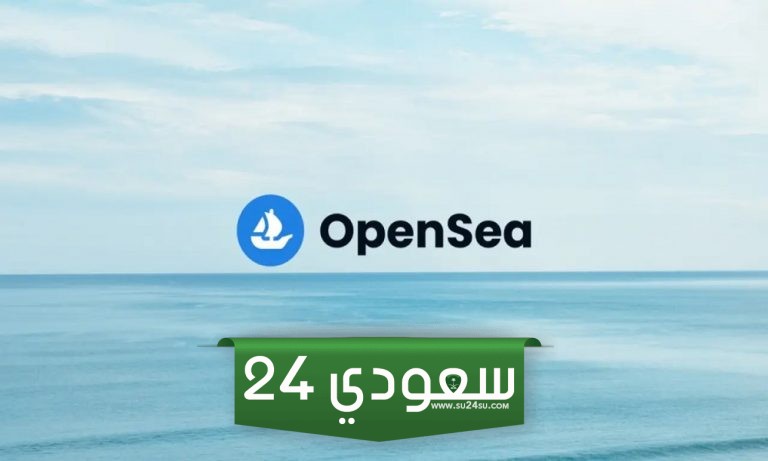 الرئيس التنفيذي لشركة OpenSea