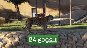 اوقات عمل حديقة الحيوان الرياض 2024 “متى تفتح ومتى تغلق”