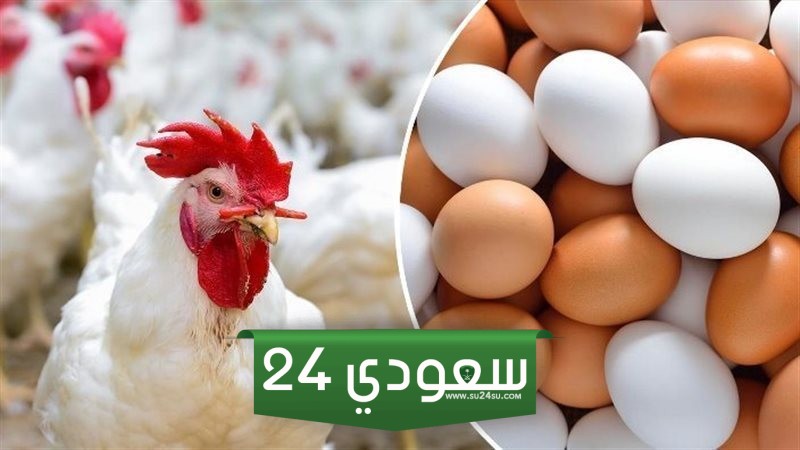 تباين أسعار الدواجن والبيض اليوم الأحد بالأسواق