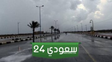 حالة الطقس اليوم الخميس 18- 01- 2024 في مصر