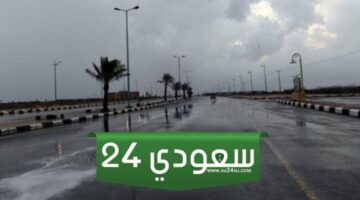حالة الطقس درجات الحرارة اليوم الإثنين 29-1-2024 في مصر