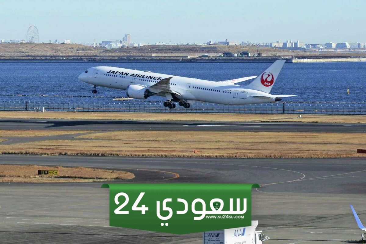 حركة الطيران بمطار هانيدا