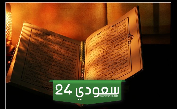 حكم الشفاعة في الحدود بأنواعها مع الأدلة