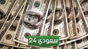 سعر الدولار مقابل الجنيه المصري ببداية تعاملات اليوم الإثنين 1 يناير 2024