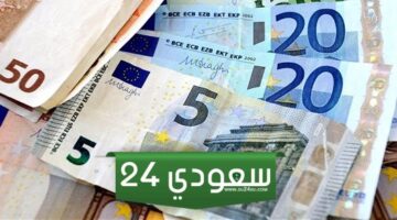 سعر اليورو مقابل الجنيه المصري صباح اليوم السبت 13-1-2024