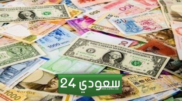 سعر اليورو مقابل الجنيه المصري مستهل تعاملات اليوم الثلاثاء 16-1-2024