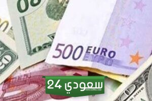 سعر اليورو مقابل الجنيه بالبنك المركزي صباح اليوم الجمعة 26-1-2024