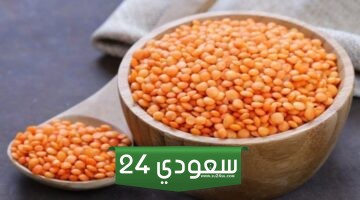 سعر كيلو العدس، أسعار العدس اليوم الإثنين 29-1-2024 في الأسواق
