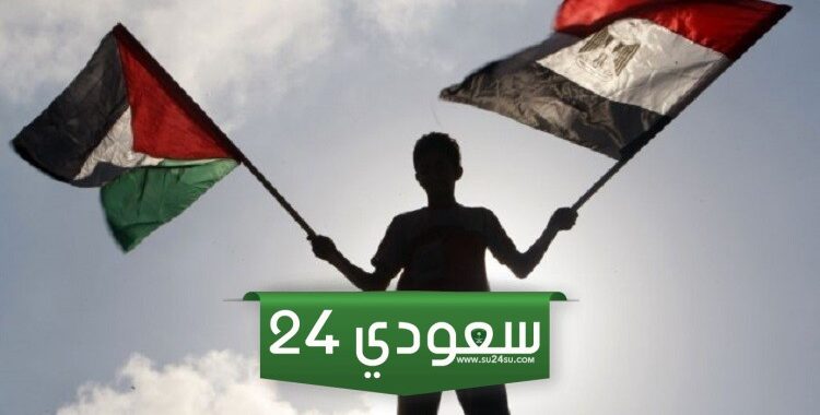شاهد ماذا حدث لامرأة مصرية تحمل علم فلسطين وسط القاهرة