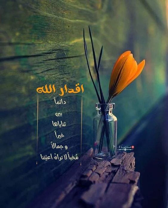صور ادعية للعائلة