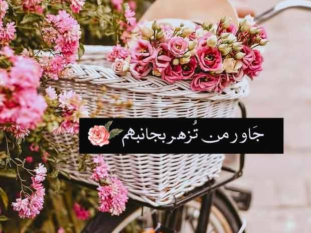 صور عبارات رومانسية 16