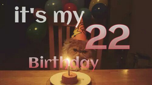 صور عيد ميلاد 22