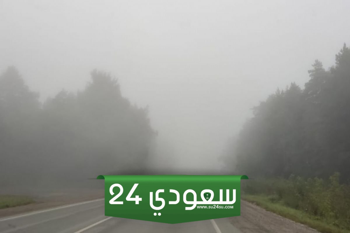 طقس الغد شبورة مائية