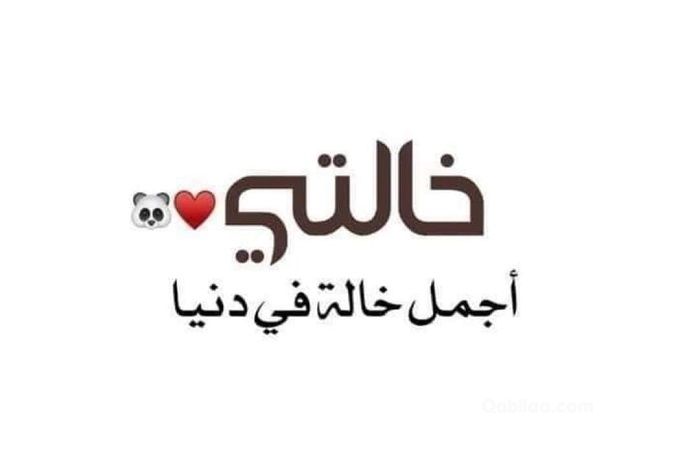 عبارات جميلة عن عمتي