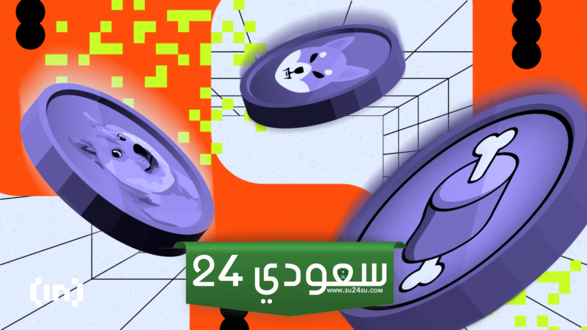 عملات الميم هل فقدت زخم الارتفاع؟
