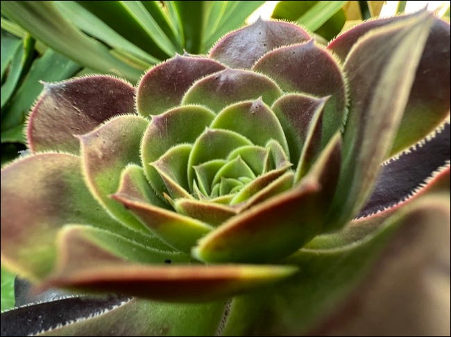 4 3 | مقال عربي