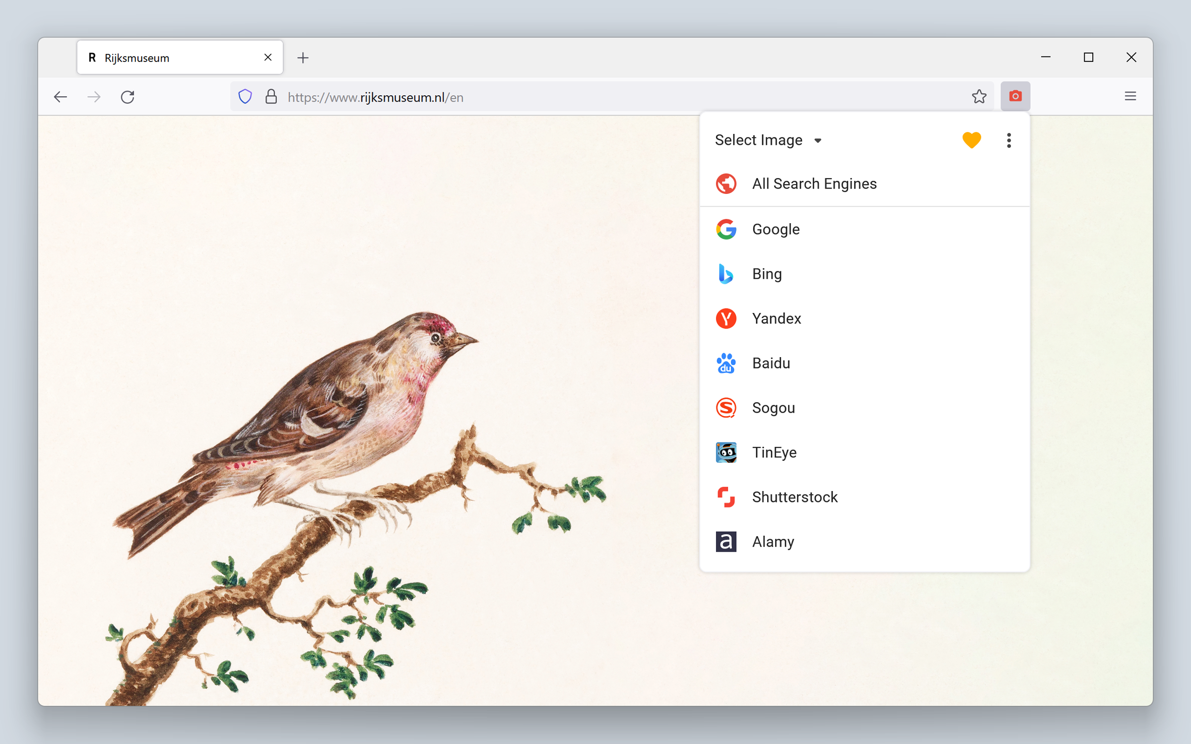 كيفية البحث بالصور | مقال عربي