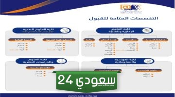 ما هي تخصصات الجامعة السعودية الالكترونية