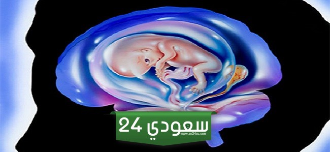 تأثير الحمل على المخ، هل يؤثر في الحمل على دماغ المرأة