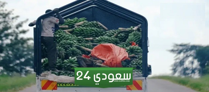 اكتشف أسرار عقود العمل الموسمية في البرتغال: عقود، إقامة، وطعام