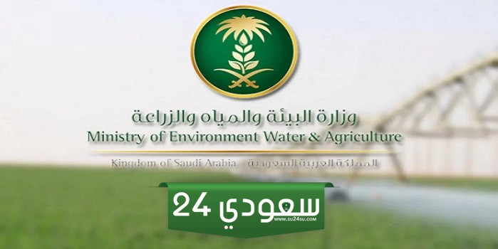 بوابة العمالة الزراعية .. متطلبات وشروط الإنضمام لبوابة العمالة الزراعية