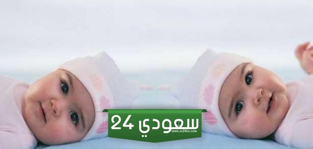 أمور مهمة حول الحمل بتوأم