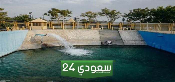 الملك الذي طور مشروع الري والصرف في الأحساء هو