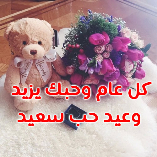 صور الدببة في عيد الحب 1