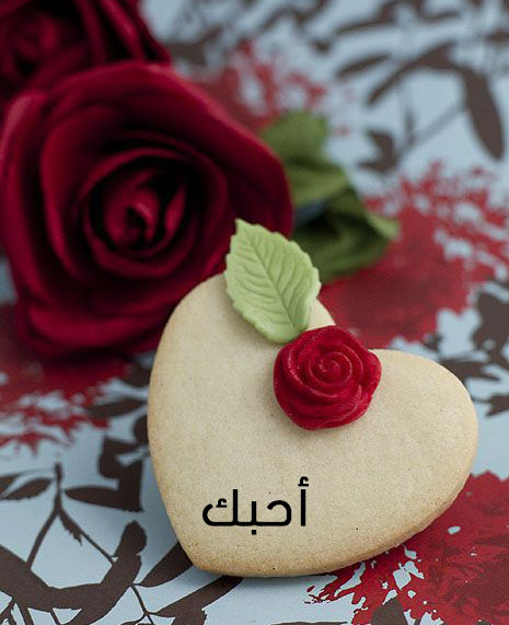أجمل صور عيد الحب 5