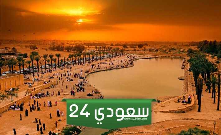 اشهر الاوديه في المملكه