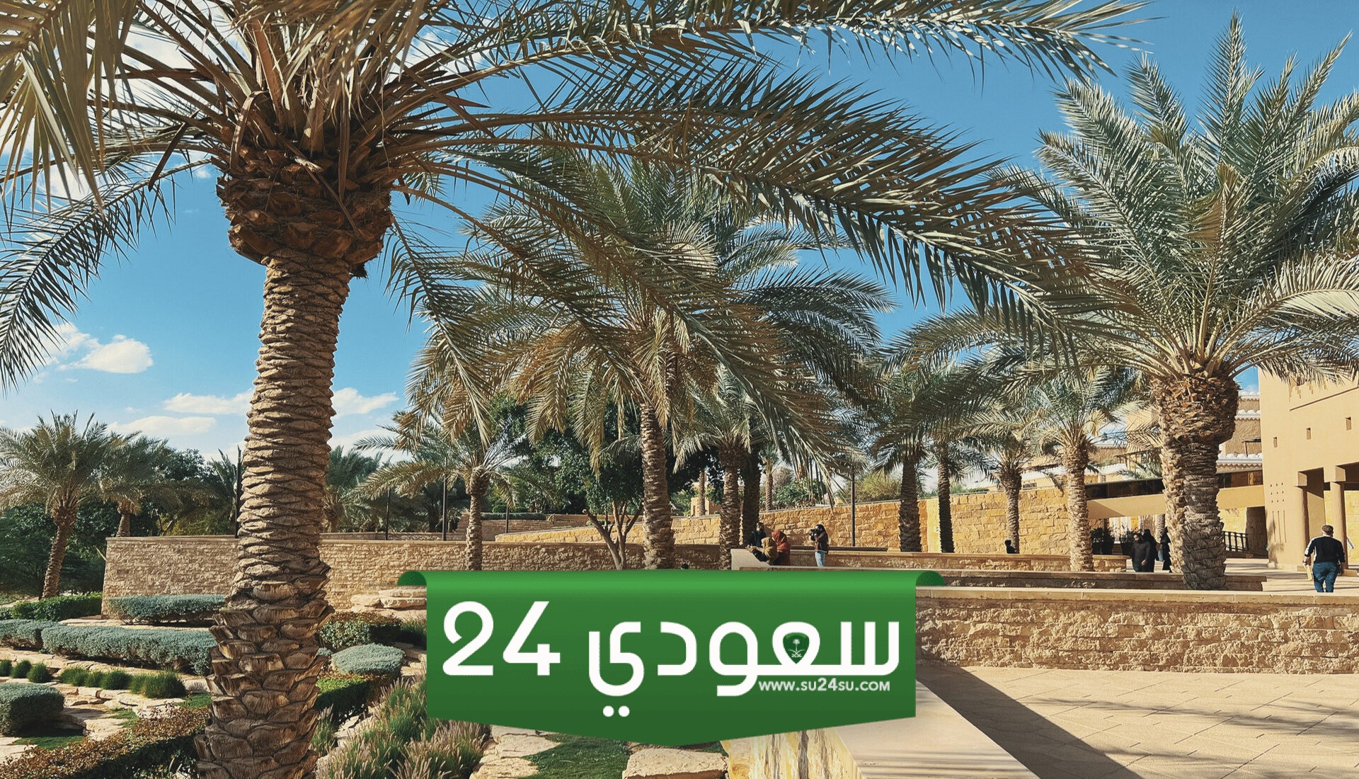اشهر الاوديه في المملكه