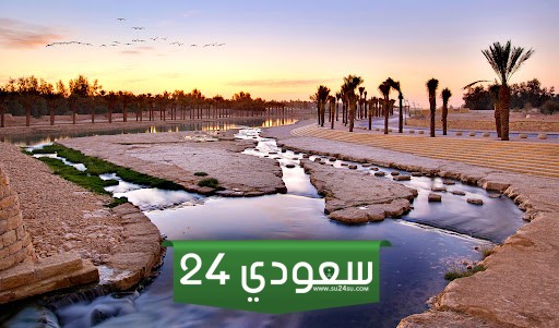 اشهر الاوديه في المملكه