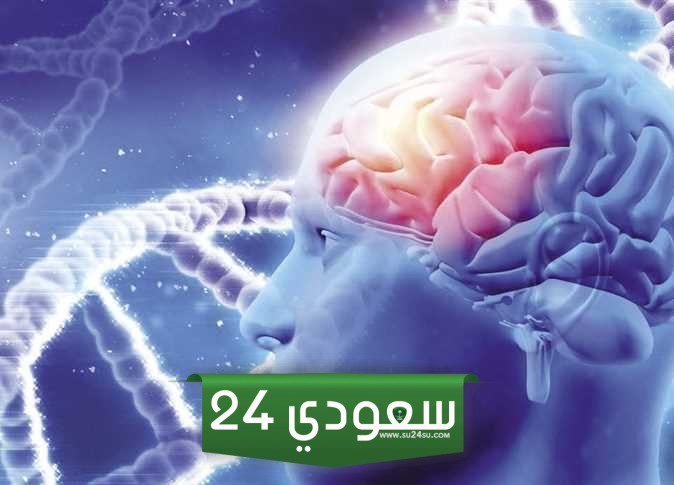 افضل دكتور مخ واعصاب في جدة