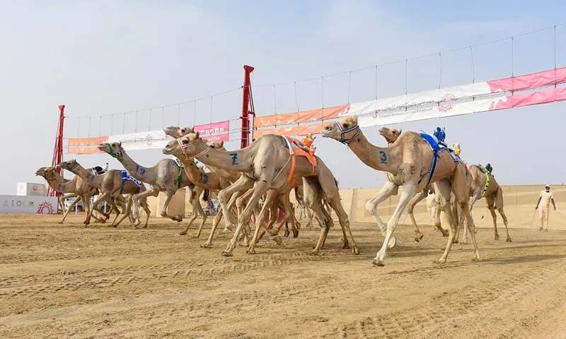 البكرة التي تحمل رمز ولي العهد