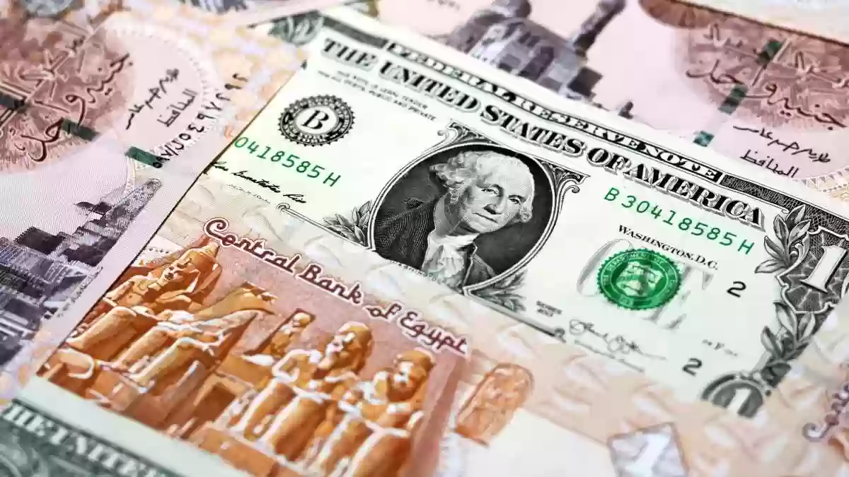 الدولار يخسر فى السوق السوداء