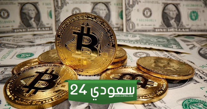 توزيع حيازات البيتكوين