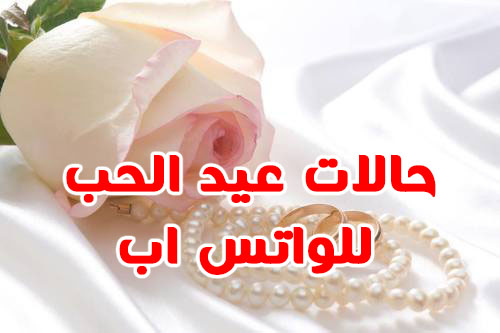 حالات عيد الحب 1