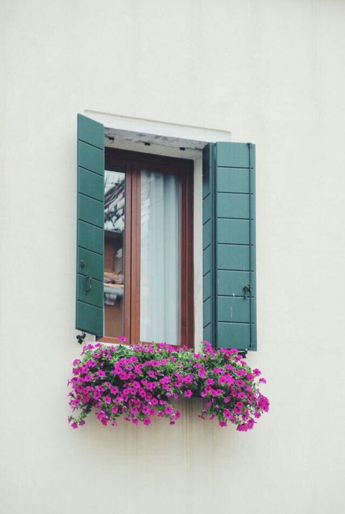 خلفيات عيد الحب للجوال 12