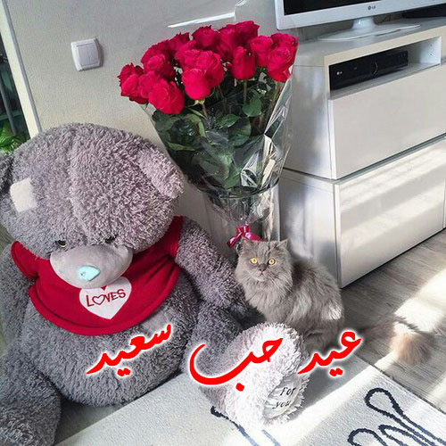 صور الدببة في عيد الحب 2