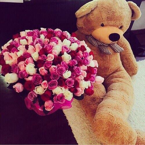 صور الدببة في عيد الحب 8