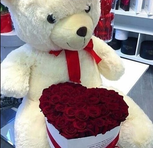 صور الدببة في عيد الحب 10