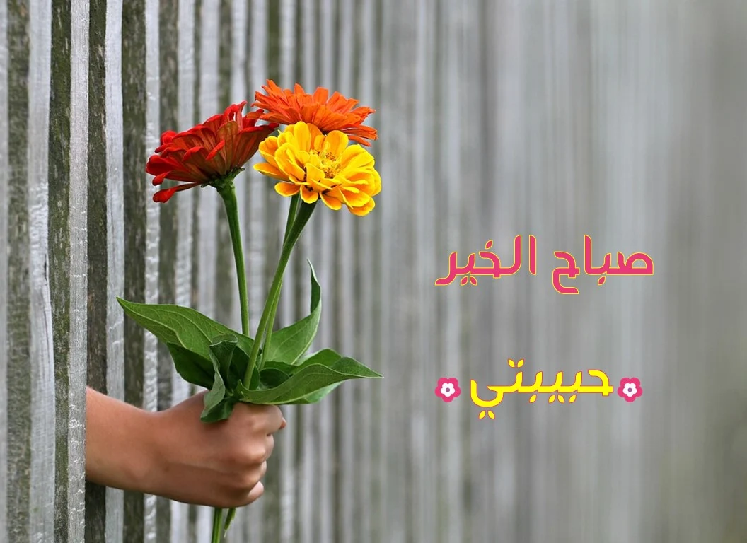 رسائل حب صباحية لزوجتي