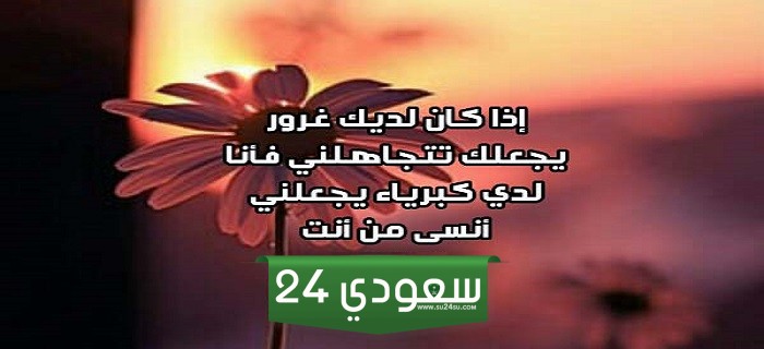 عبارات لشخص يتجاهلك