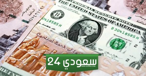 سعر الدولار مقابل الجنيه المصري اليوم السبت 3 فبراير 2024