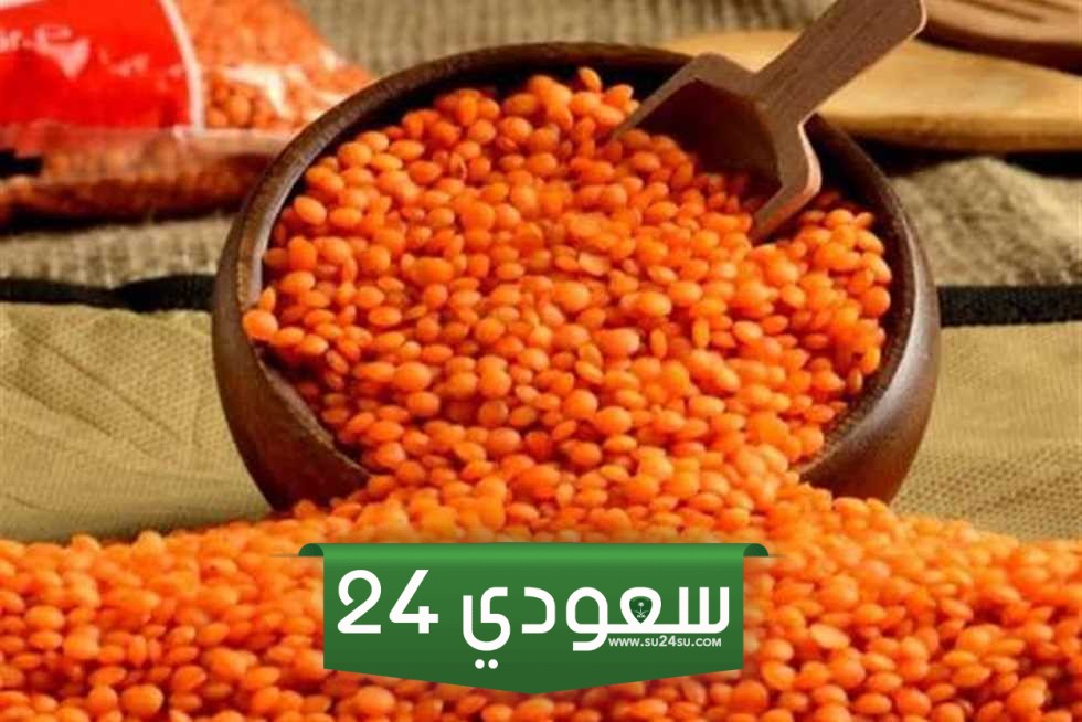 سعر كيلو العدس