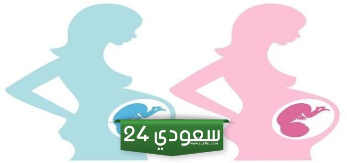 شكل خط البطن اثناء الحمل بولد