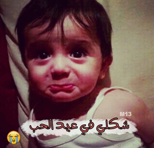 صور مضحكة عن عيد الحب 8 صور مضحكة عن عيد الحب 7